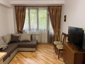 Apartment in City Center